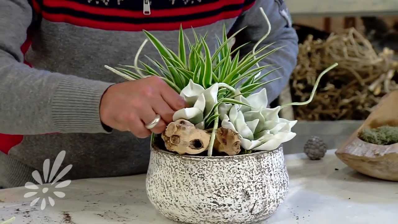Plantenarrangement opmaken met Romeo Sommers