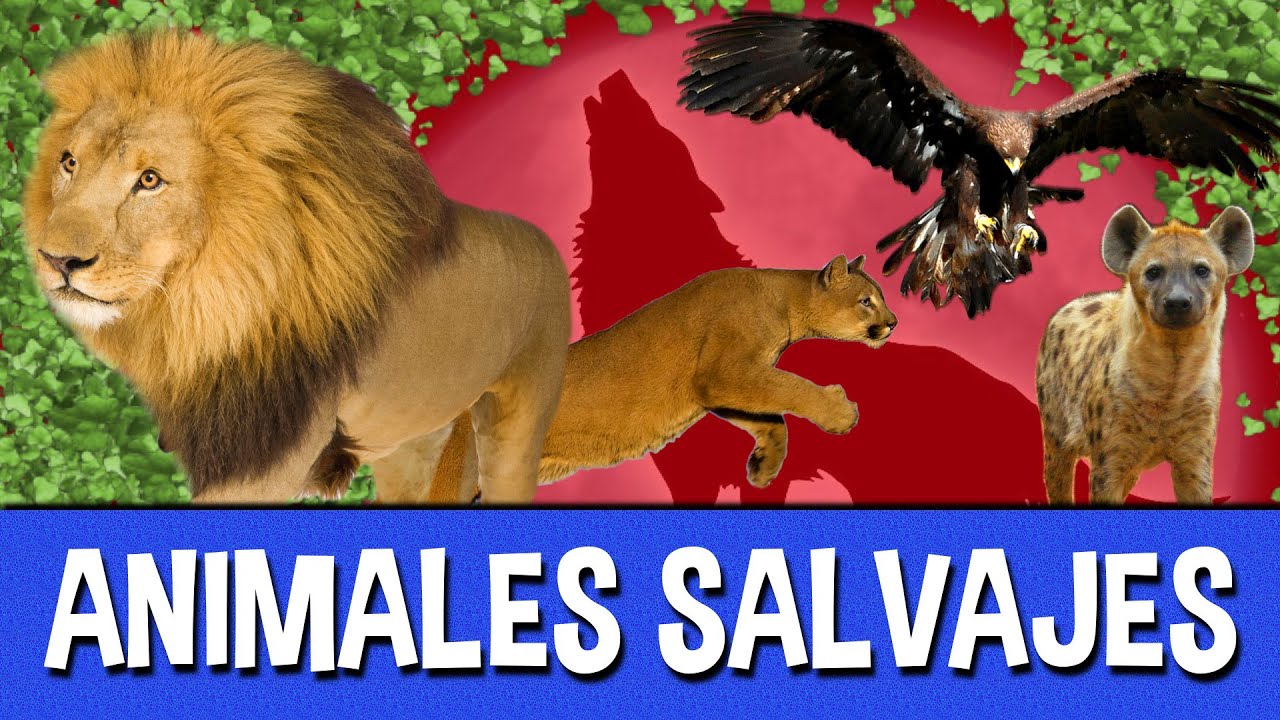 Animales Salvajes para niños