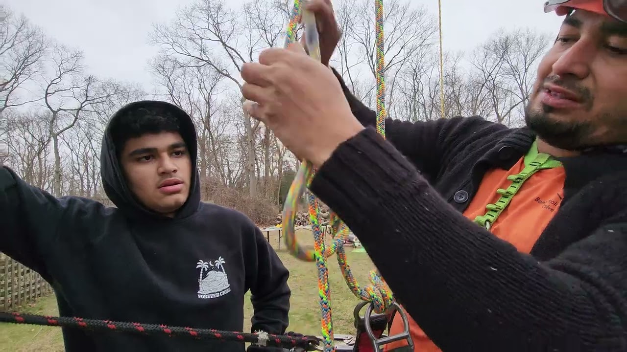 técnicas como escalar un Árbol primera parte