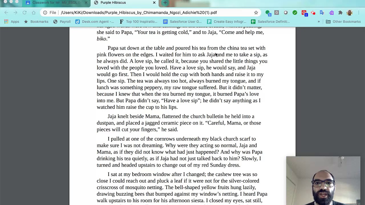Purple Hibiscus Ch. 1: Breaking Gods