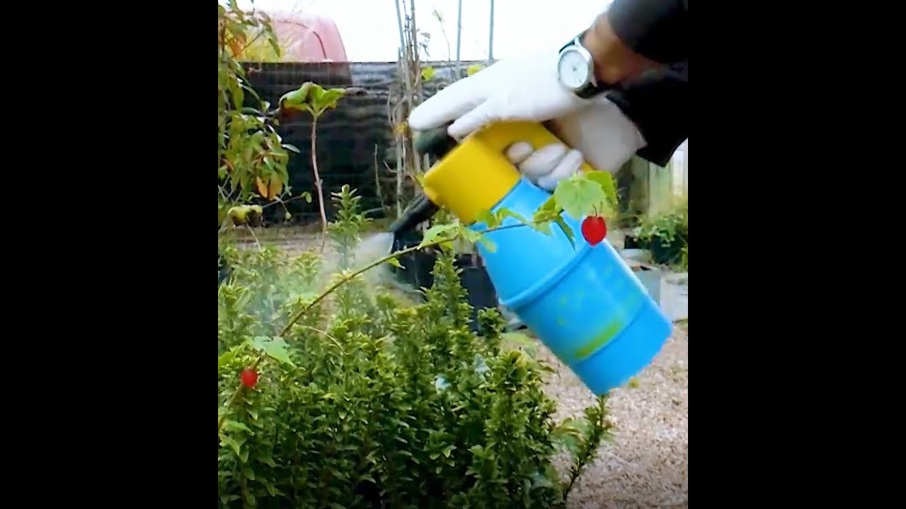 Preparación de la Fumigadora