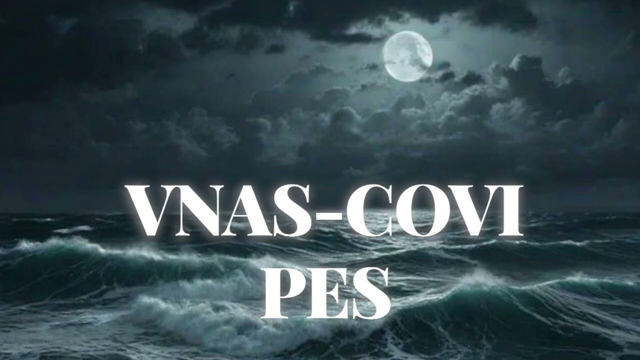 Vnas-Covi pes 🎶Վնաս-ծովի պես///Armenian Rap