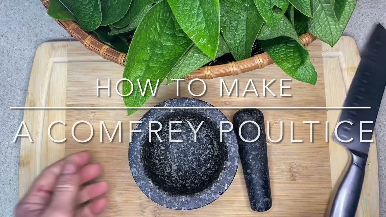 How to Make a Comfrey Poultice #comfrey #knitbone #poultice #onewithnature