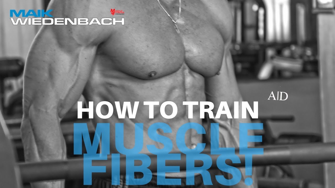 Your Muscle Fiber Strategy is Costing You Gains