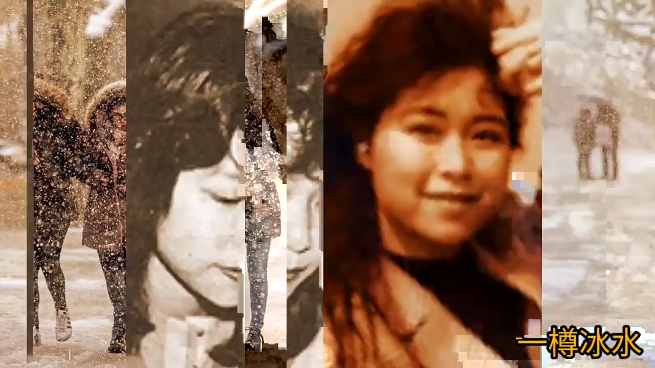 《永遠冬天》1988 唱.林志美 詞.潘源良 曲.Laura Allan 編曲.鮑比達 (想聽英文原曲 Promises 請到下面連結)