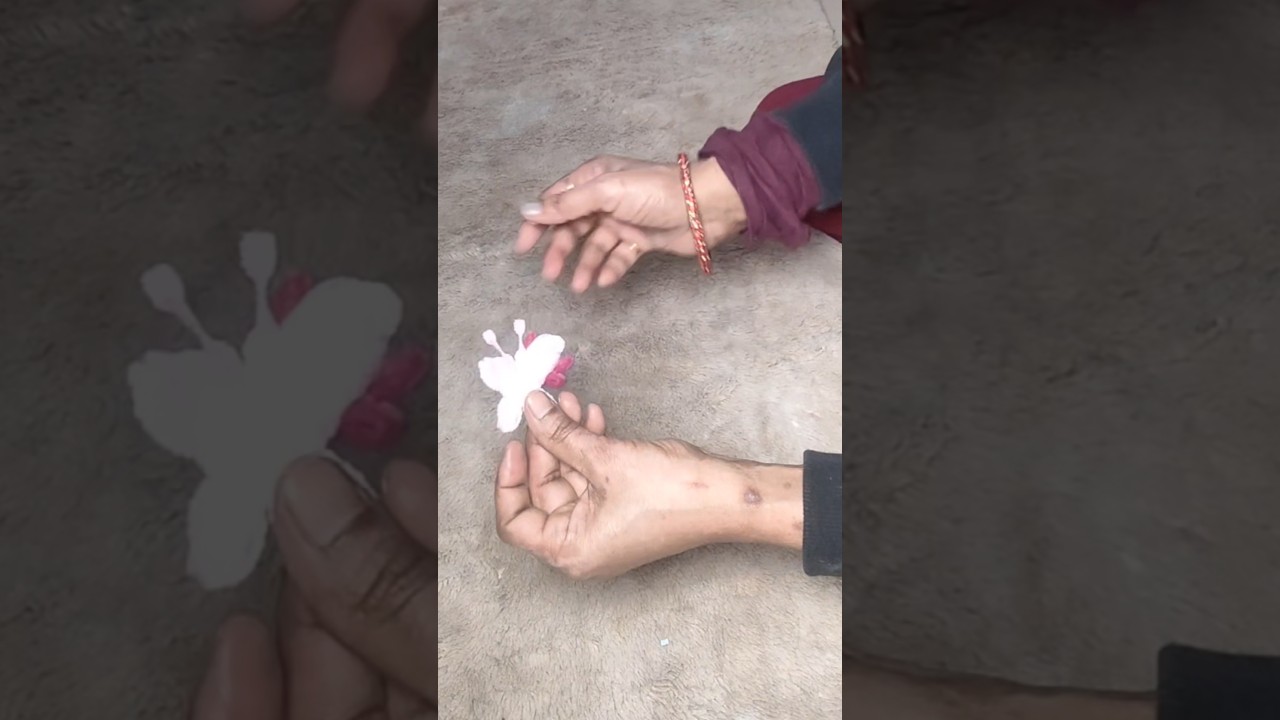 pipe cleaner craft #pink#butterfly #wow