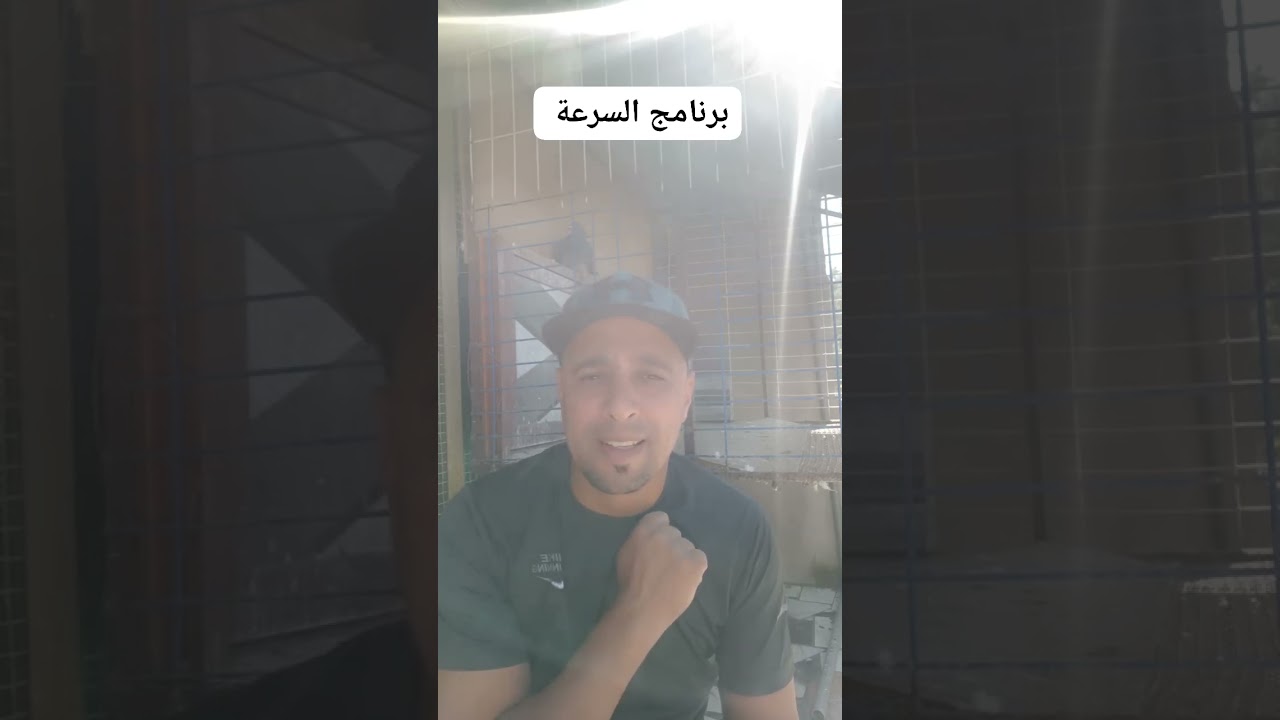 برنامج السرعة السباق بالحمامة الزاجل