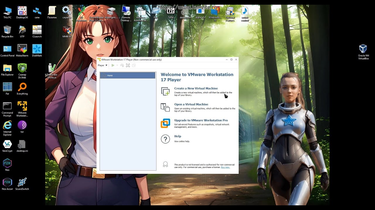 VMware Player