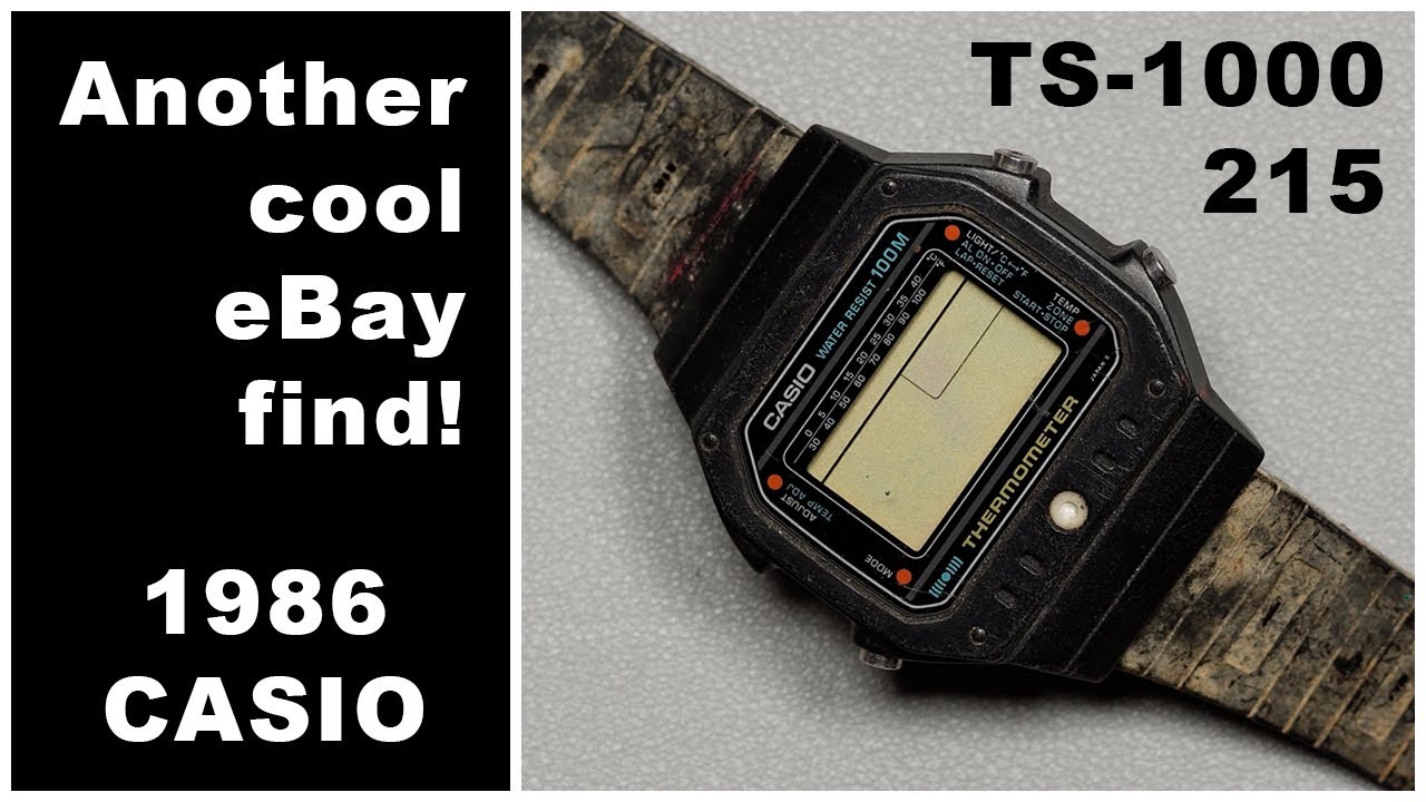 Vintage 1986 Casio TS-1000 Cal. 215 Thermometer Digital Watch - eBay Find!