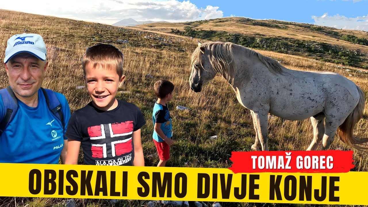 Kampirali smo na ČRNO 😧 Z nečakom sva našla DIVJE KONJE ❤️- Potovanje z nečakoma v Bosno - 2. del