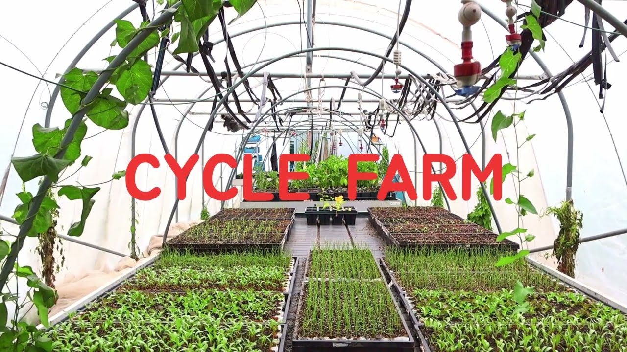 Cycle Farm, a super small scale  bio intensive market garden