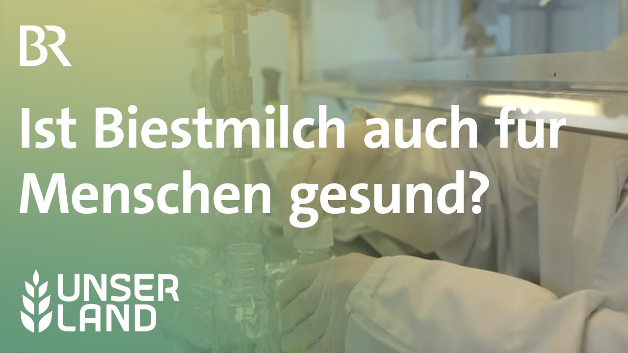 Biestmilch: Ist Kolostrum von Kühen auch für Menschen gesund? | Unser Land | BR Fernsehen