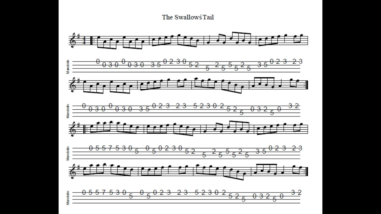 The Swallow's Tail REVISITED - a reel in A Dorian tabbed for mandolin and played by Aidan Crossey