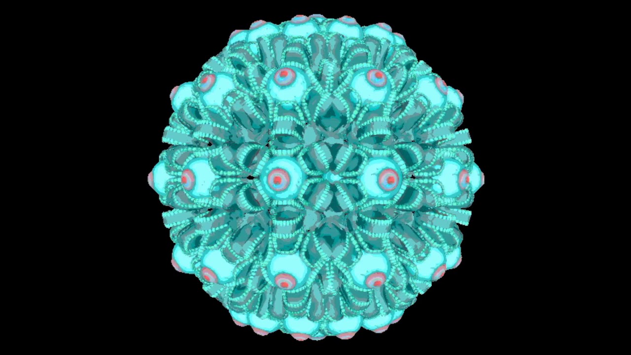 Hara Gobi  Space Song