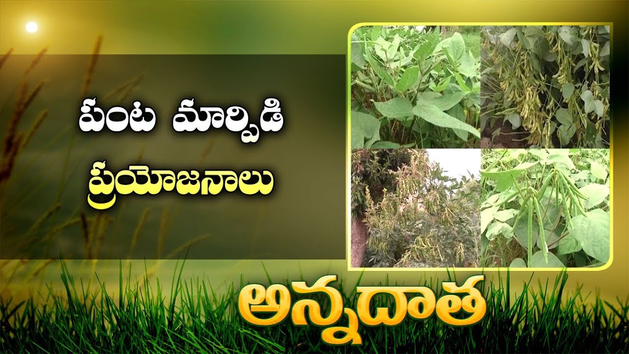 Benifits Of Crop Rotation