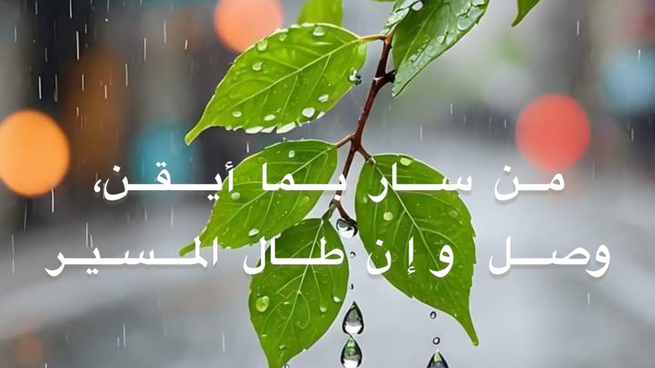 سر في طريقك… ولو لم يفهمك أحد #الحب_الإلهي #اكسبلور #روحانيات #صوفية #الحب 