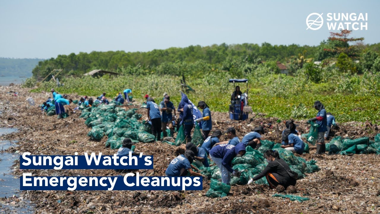 Get to Know Sungai Watch: Our Signature Emergency Cleanups