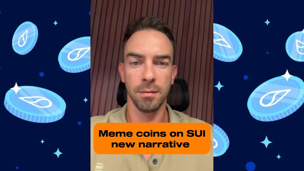Exploring the Meme Coin Craze on the SUI Blockchain