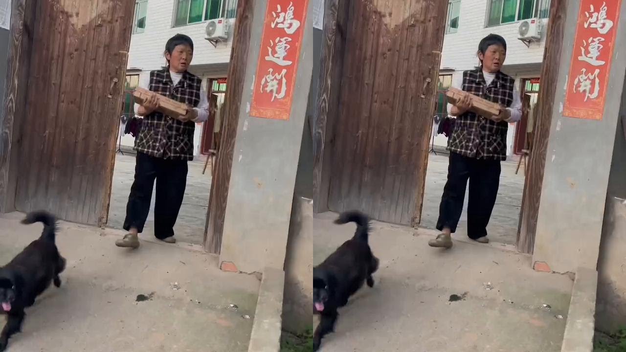 媳妇明天，后天都要赶场，  保保 帮忙跟邻居送#勤劳致富靠双手