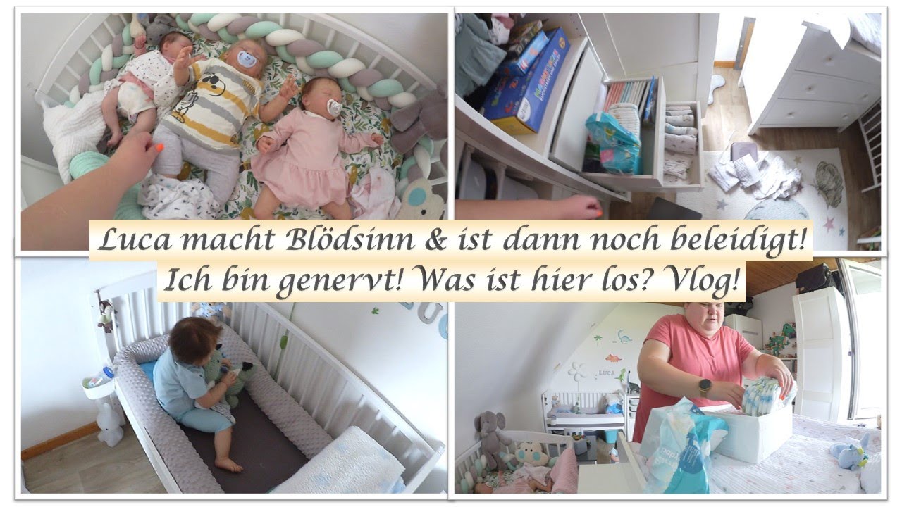 Luca macht Blödsinn & ist dann noch beleidigt! |Vlog! ||Reborn Baby Deutsch || Little Reborn Nursery