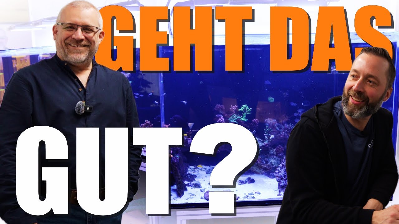 Meerwasseraquaristik ENDSTUFE! Claude checkt  das 3,5m DropOff Aquarium! @Fauna Marin GmbH - Fauna Marin Corals