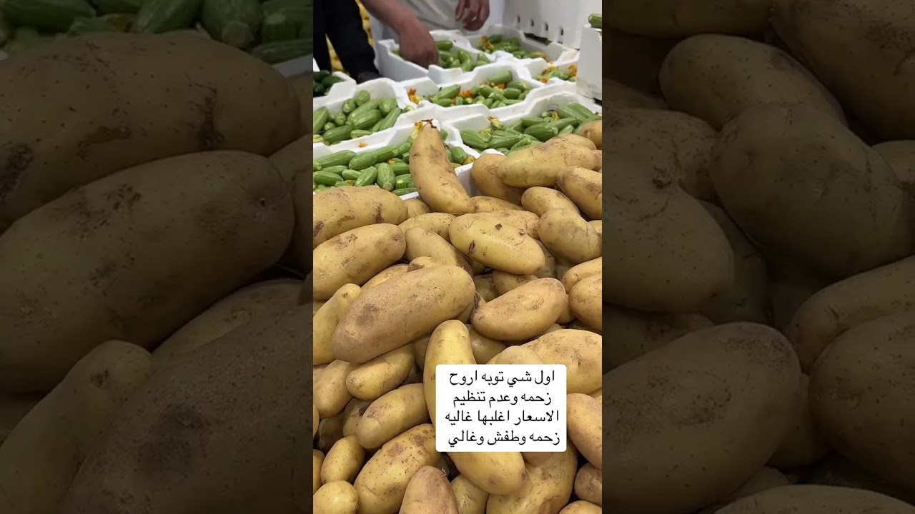8 فبراير، 2026