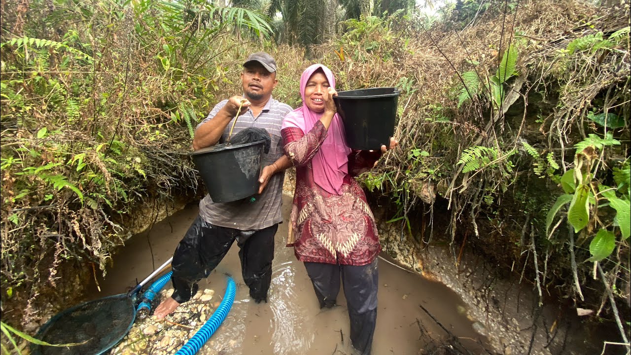 GAK MEYAKINKAN TAPI DIHUNI PULUHAN IKAN!