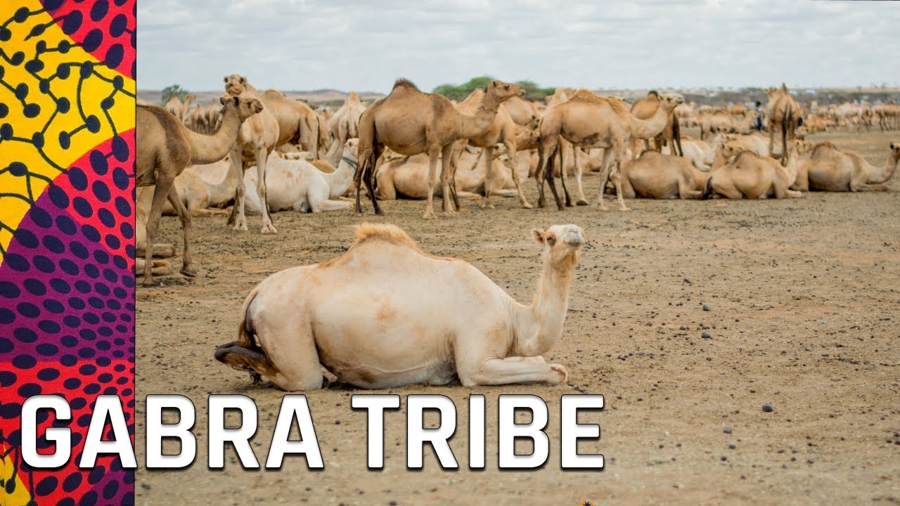 GABRA TRIBE KENYA | A rare interview on nomadic life, culture & heritage