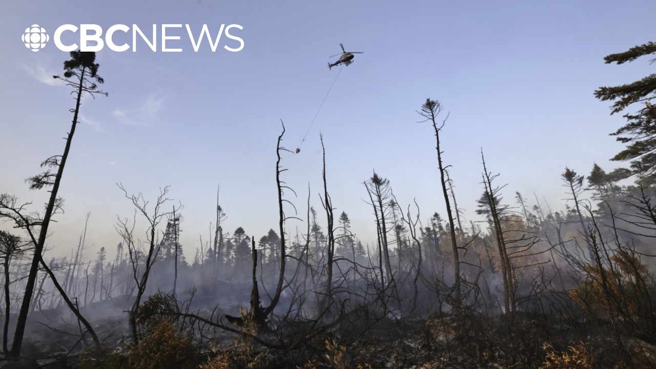 Halifax wildfire caused by human action: DNR