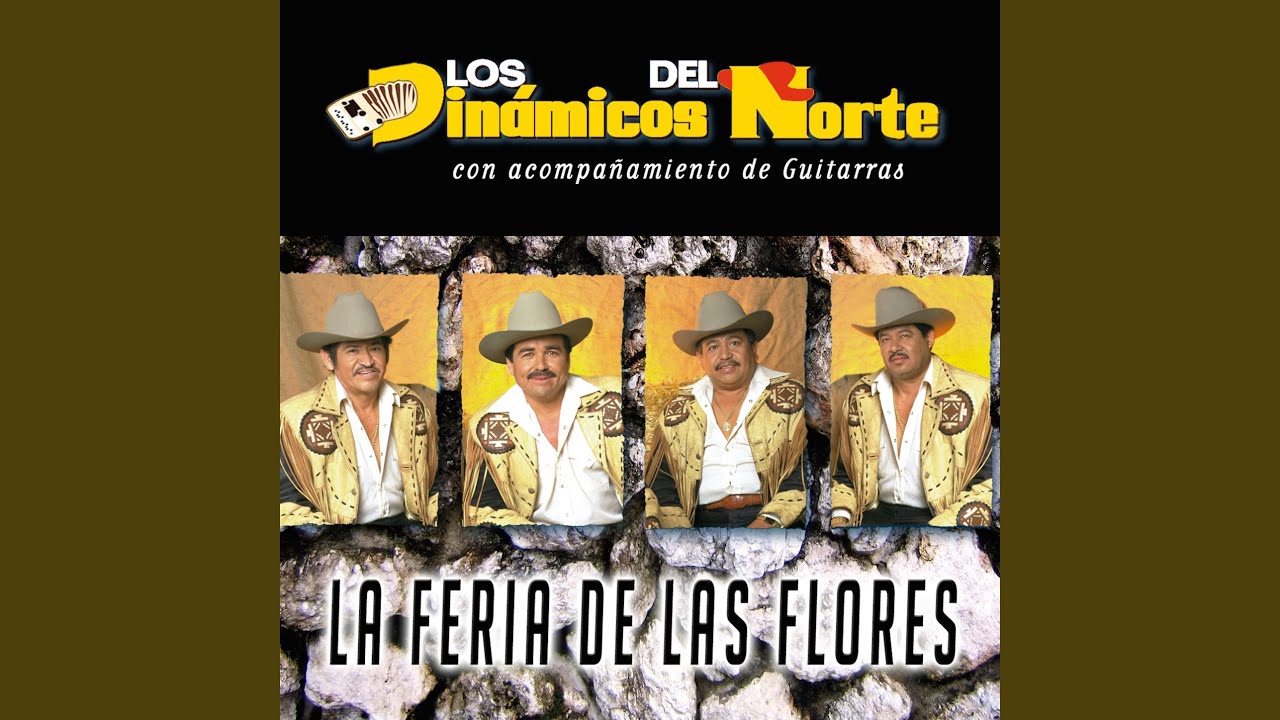 Pasos Contados