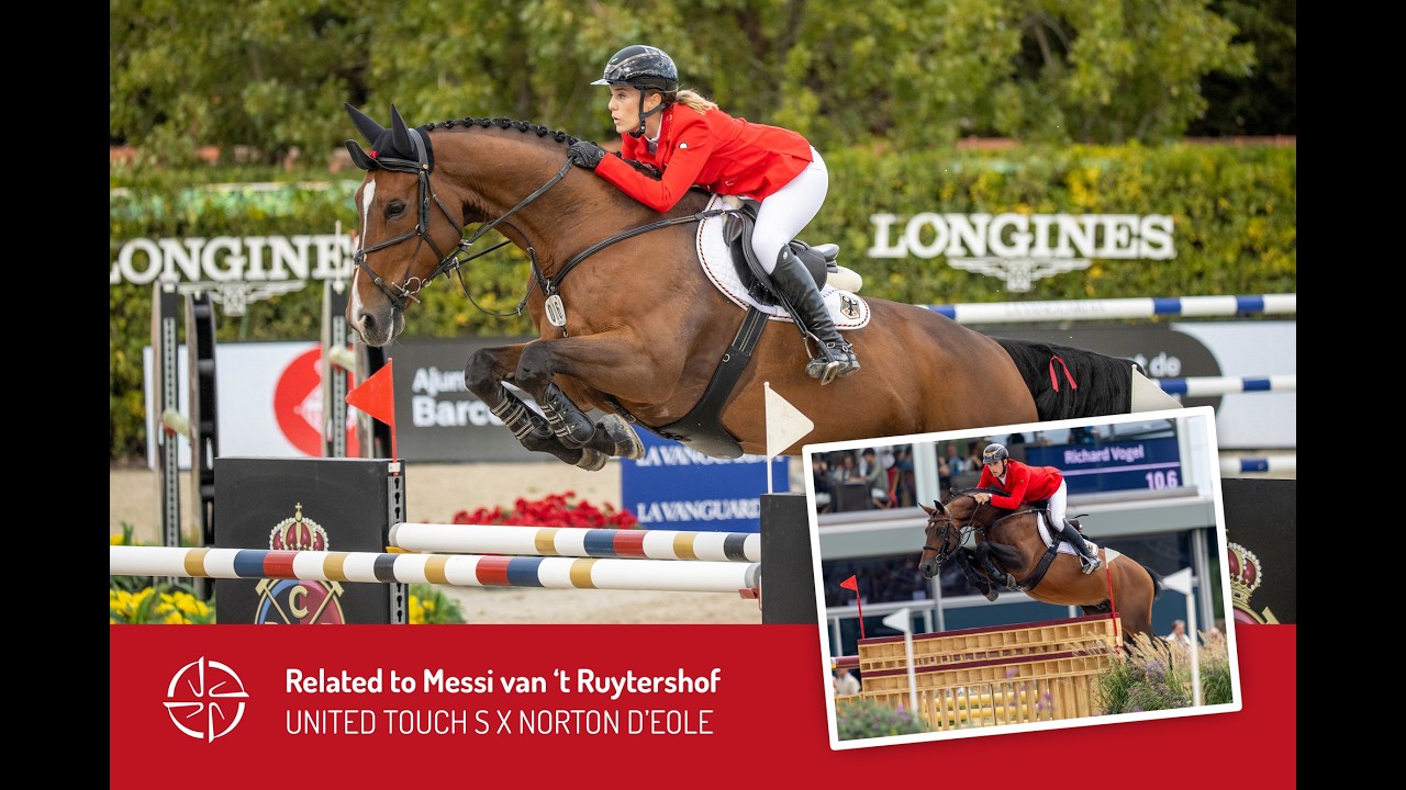 Embryo United Touch S x Norton d'Eole