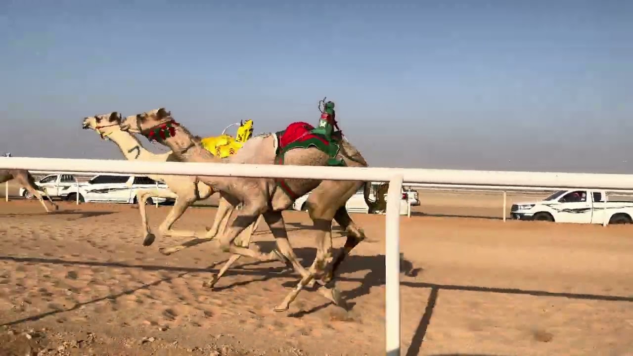 ش 10 قعدان حقايق حلوان ل خلف نايف الفرتاج الشمري 