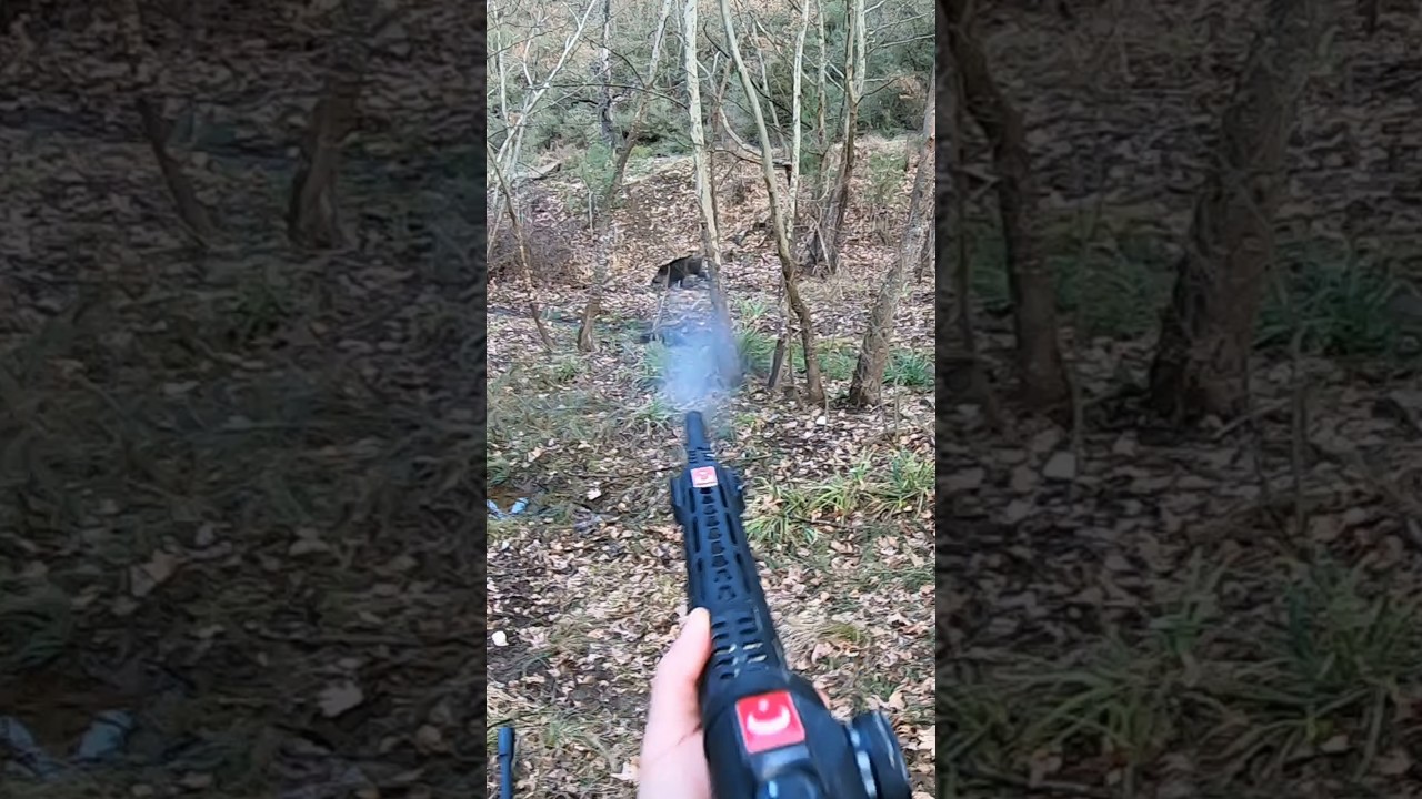 2 de 2 #okaysahin #wildboar #hunting
