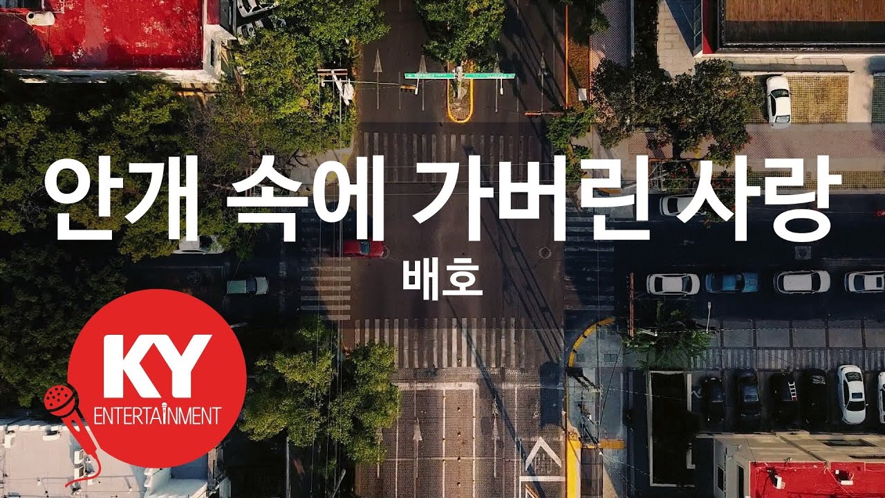 [KY ENTERTAINMENT] 안개 속에 가버린 사랑 - 배호 (KY.543) / KY Karaoke