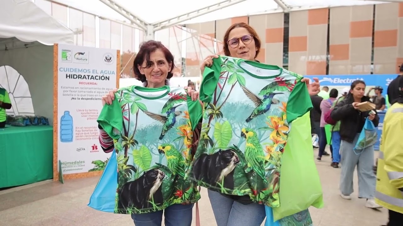 ¿Por qué somos verdes?