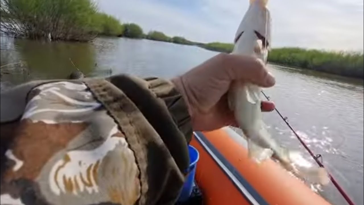 ШЕСТЬ ЧАСОВ РЫБАЦКОГО СЧАСТЬЯ.
