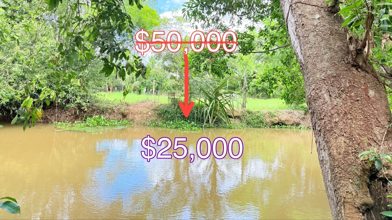 real estate 553 : ដីលក់បន្ទាន់ជាប់ស្ទឹងប្លង់រឹង Urgent Land for sale in siem reap 085282882