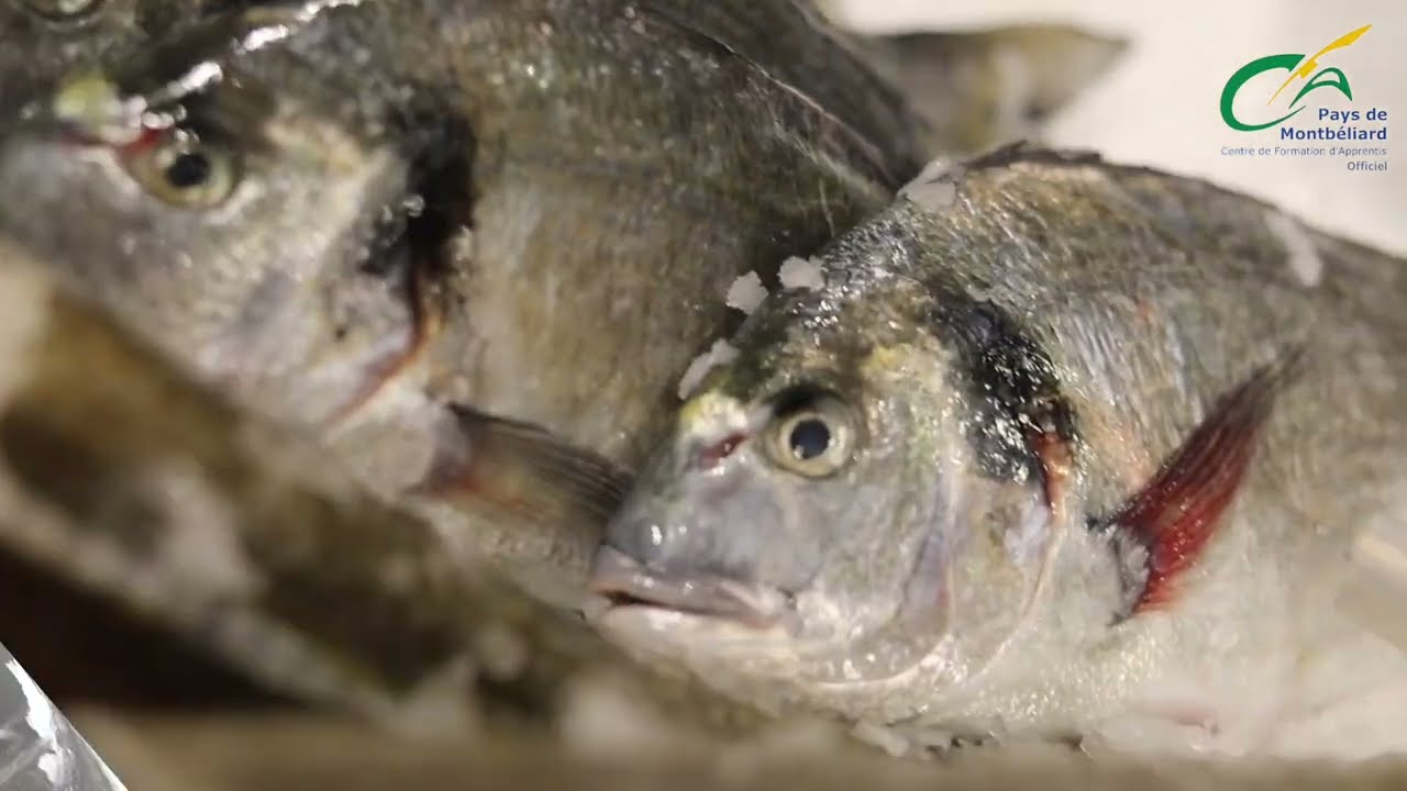JFLMQMP | M&eacute;tier de Poissonnier &Eacute;cailler_5106