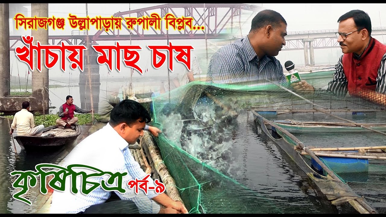 কৃষি চিত্র পর্ব-৯ fish farming খাঁচায় মাছ চাষ,