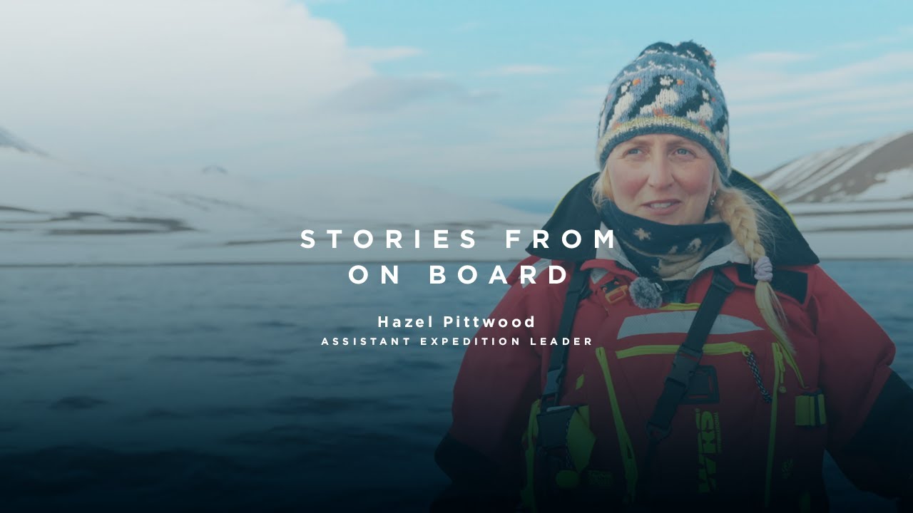 Protecting Polar Wildlife - The Role of an Expedition Guide | Hazel, Assistant Expedition Leader