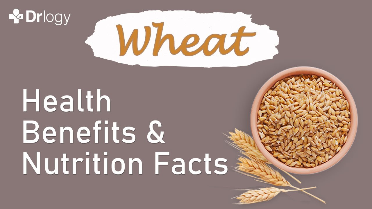 Wheat Health Benefits and Nutrition Facts | गेहूं खाने के फायदे  जानकर हैरान रह जायेगें आप | Drlogy