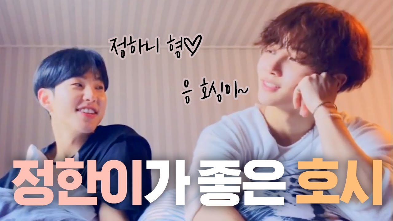 [세븐틴] 정한이 형이 너무 좋은 호시