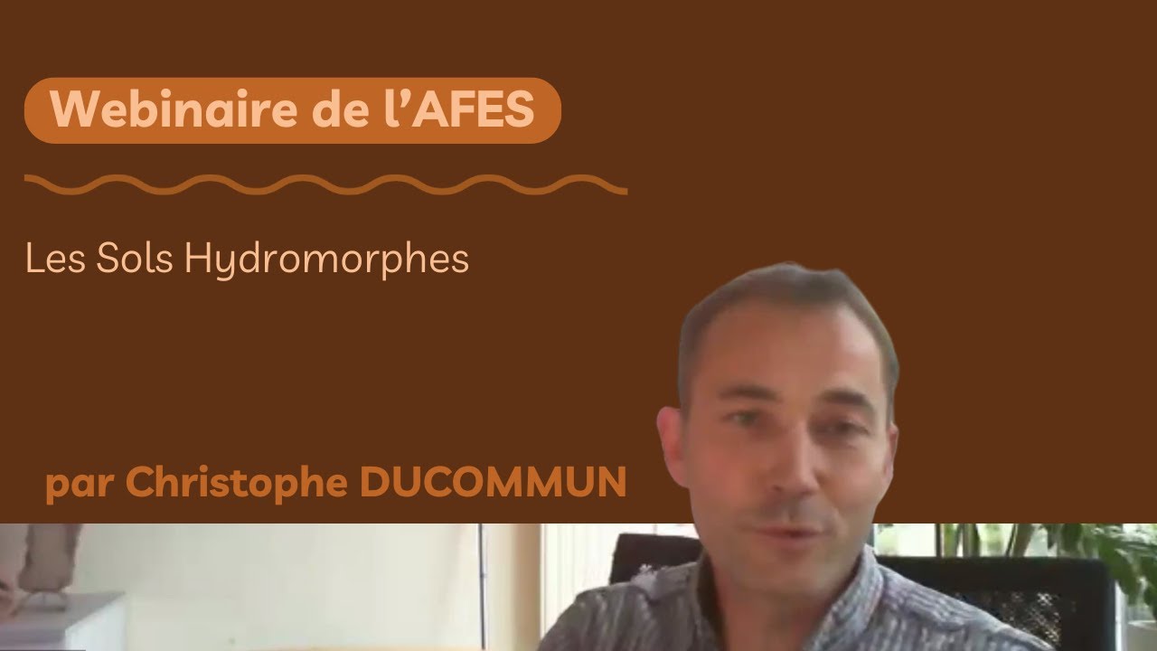 Webinaire 59 | Sols hydromorphes par Christophe DUCOMMUN