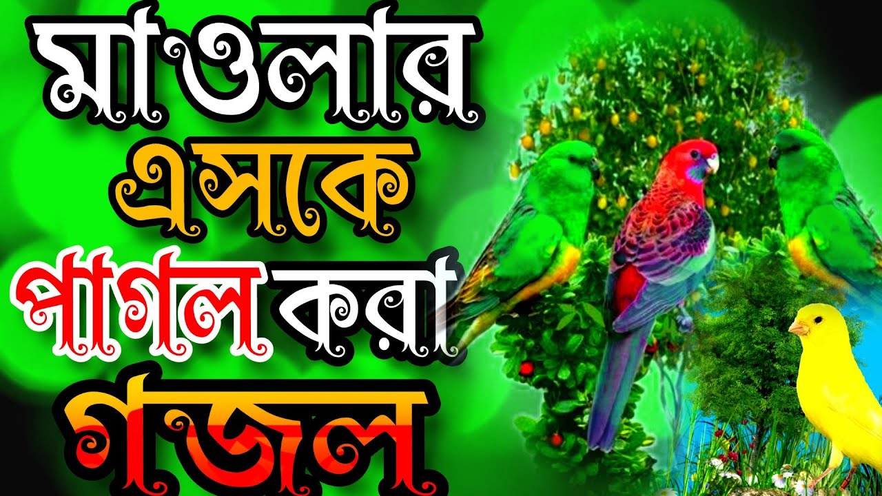 মাওলার এসকে পাগল করা খুবই দুঃখের গজল, মন উজাড় করা গজল,moular Prem pagol Kara kuby dukkar gojol 