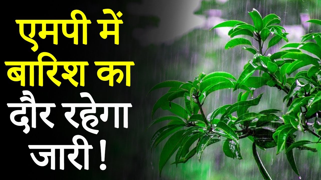 MP Weather Update: Jabalpur समेत 12 जिलों में हल्की बारिश, IMD ने जारी किया Update! #mpweather #mp