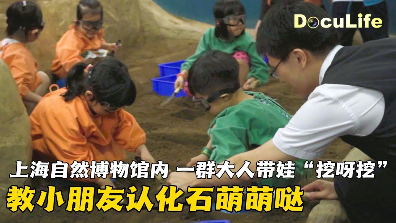 萌力全开！上海自然博物馆内，一群大人带娃&ldquo;挖呀挖&rdquo;，教小朋友认化石萌萌哒《自然博物馆》【DocuLife-SMG真实传媒】