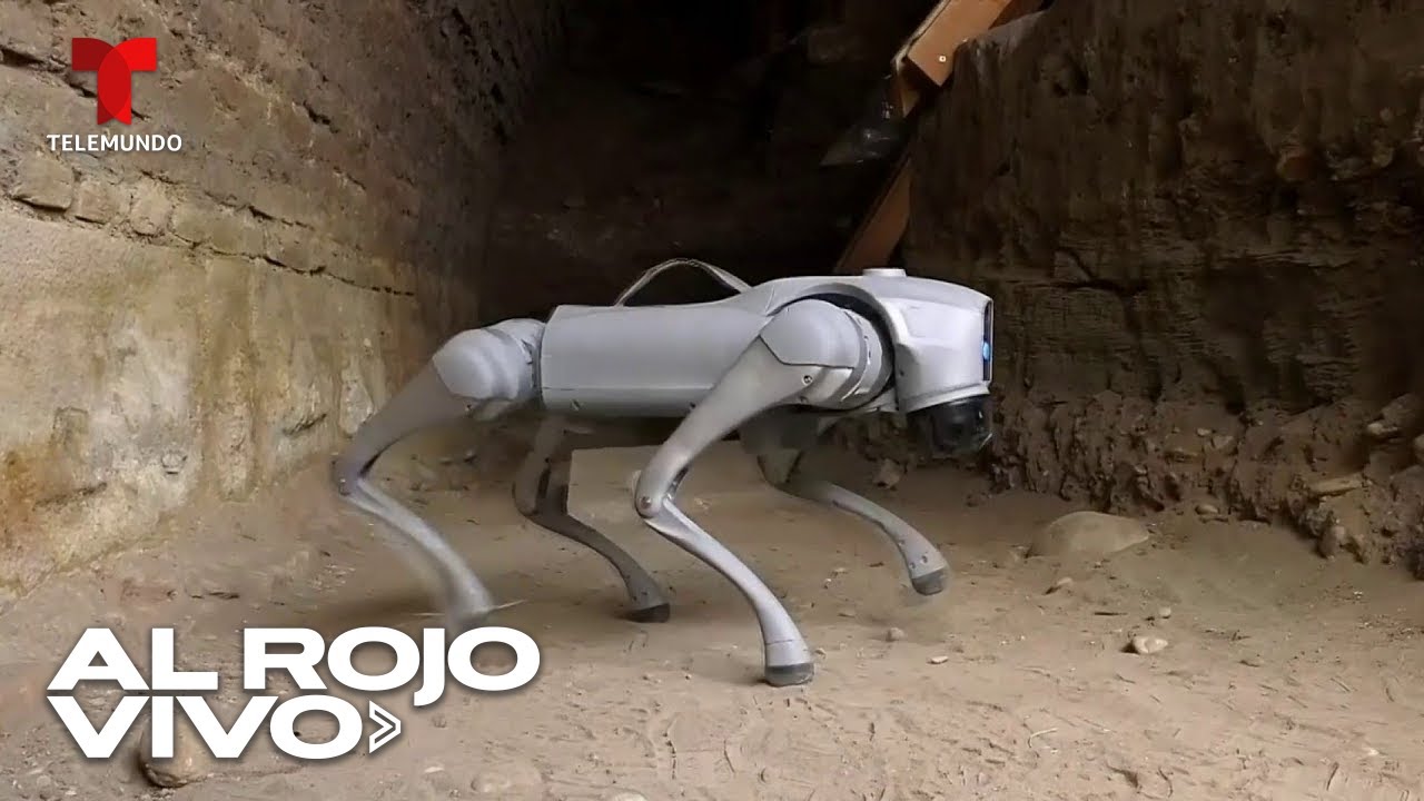 Perro robot ya es la mascota de arqueólogos y alumnos de ingeniería civil