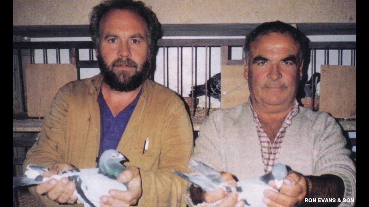 Video 126: Ron Evans & son of Sunderland: Premier Pigeon Racers