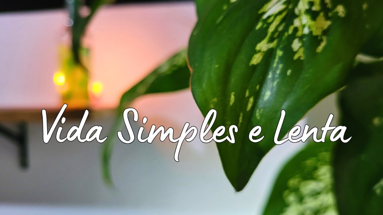 A arte de viver aconchegantemente no campo 🌺 | Abraçando a calma dos dias simples de outono 🌹