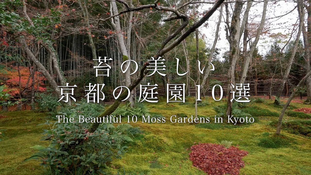 苔の美しい京都の庭園 10選：THE  BEAUTIFUL 10 MOSS GARDENS IN KYOTO
